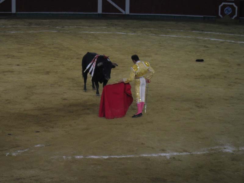 Bull-Fight-038